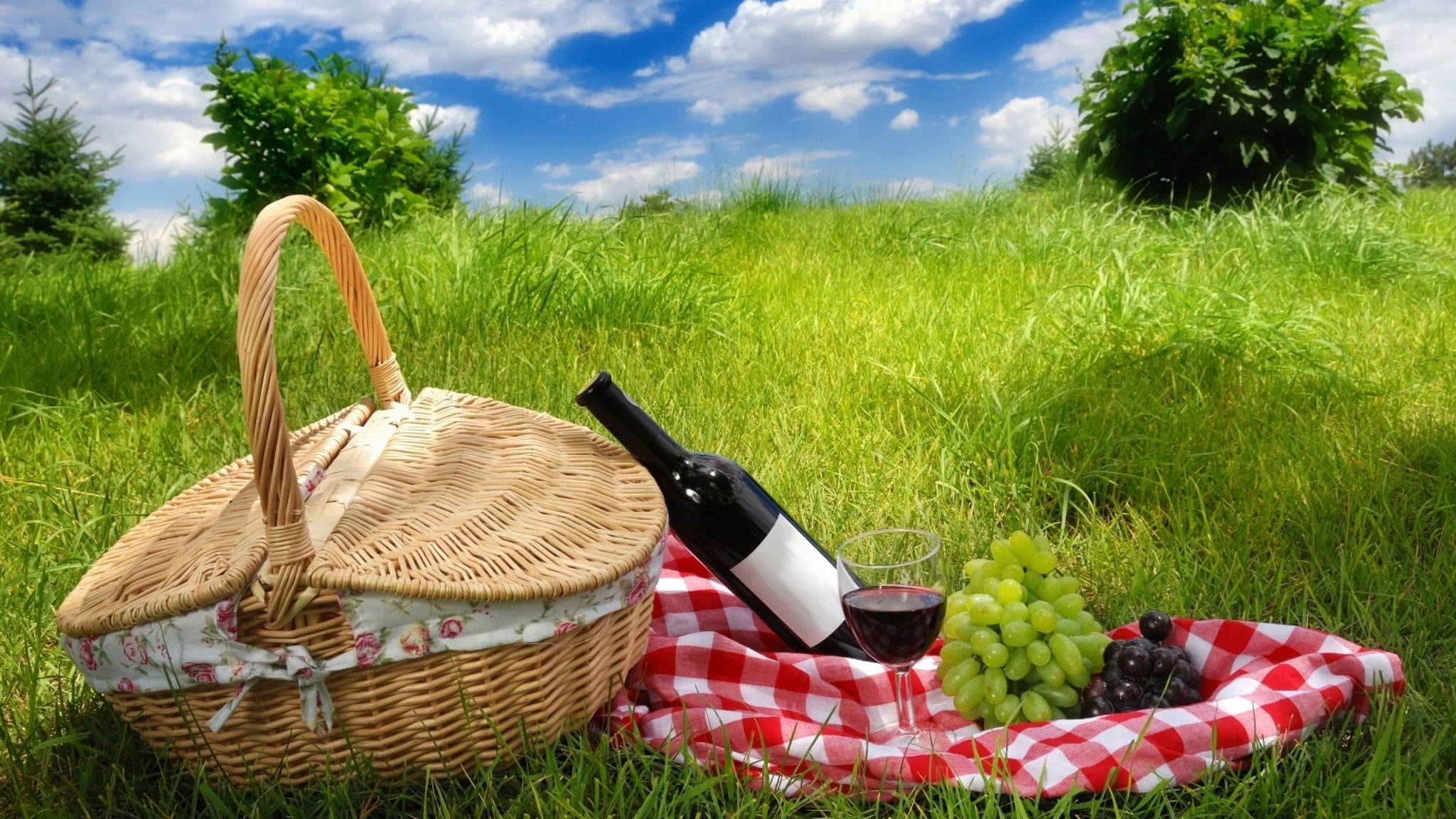 beautiful-picnic-laid-out-on-the-grass